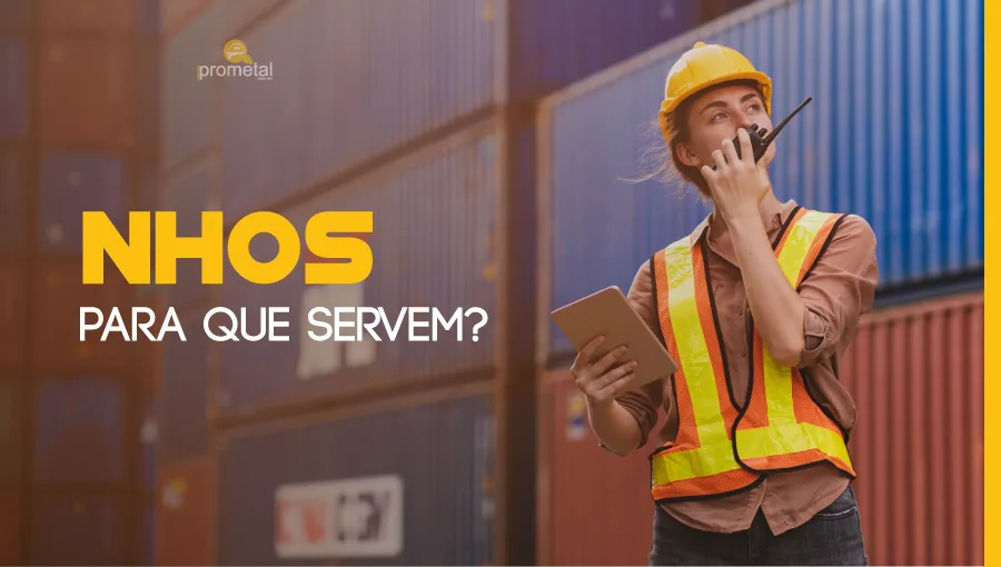 Para que serve as Normas de Higiene Ocupacional - NHOs?