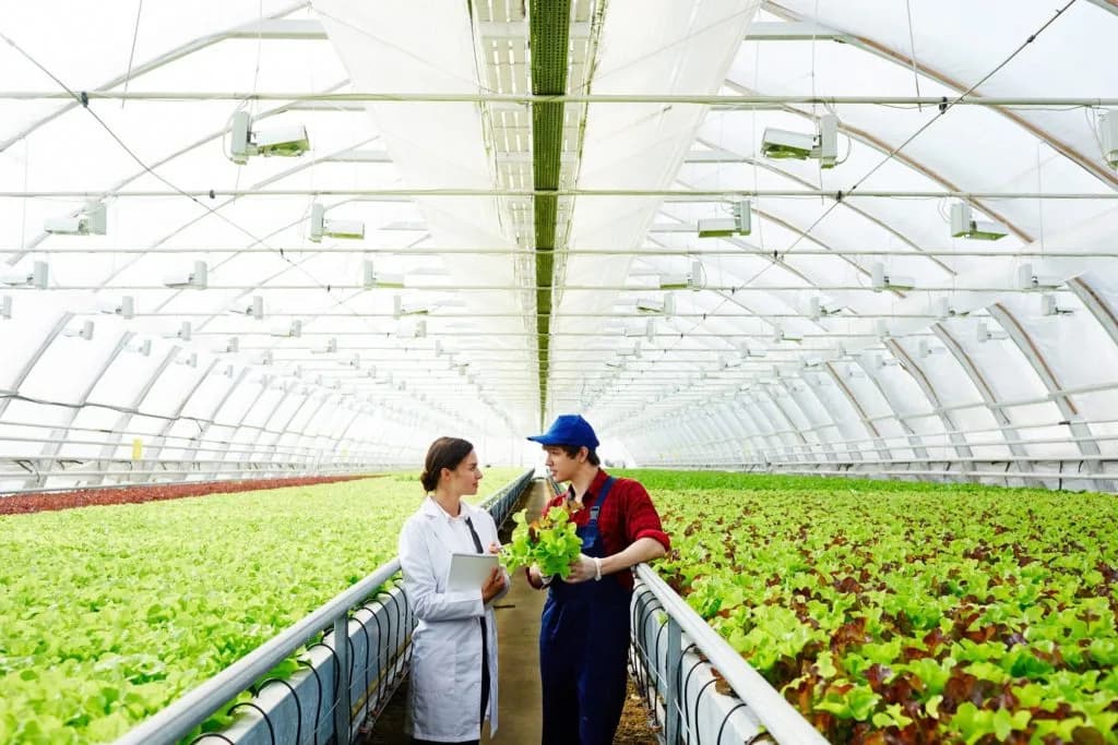 EPIs na agroindústria