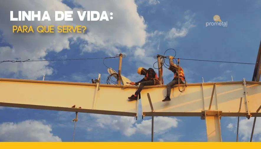 Linha de Vida: Para que serve?