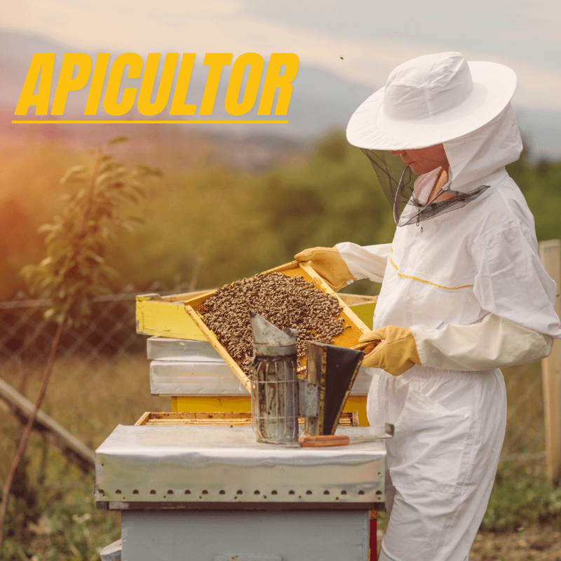 Apicultor