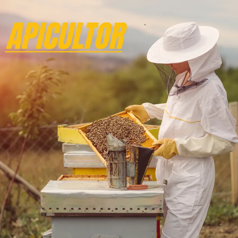 Apicultor
