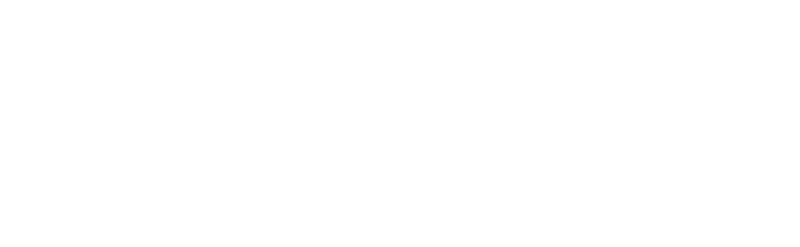 Logo Ansell
