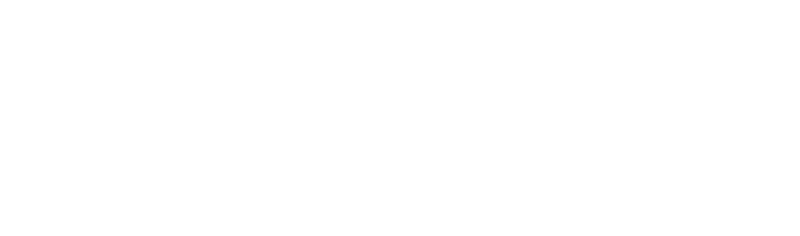 Logo Steelflex
