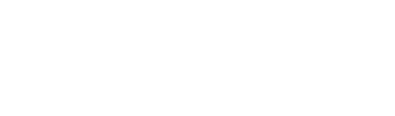 Logo Steelflex